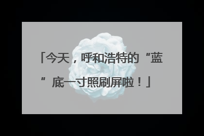 今天，呼和浩特的“蓝”底一寸照刷屏啦！