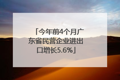 今年前4个月广东省民营企业进出口增长5.6%