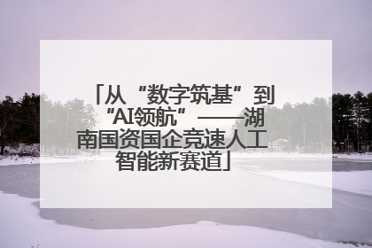 从“数字筑基”到“AI领航”——湖南国资国企竞速人工智能新赛道