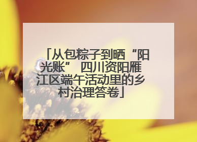 从包粽子到晒“阳光账” 四川资阳雁江区端午活动里的乡村治理答卷