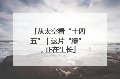 从太空看“十四五”｜这片“绿”，正在生长