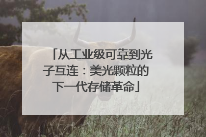 从工业级可靠到光子互连：美光颗粒的下一代存储革命