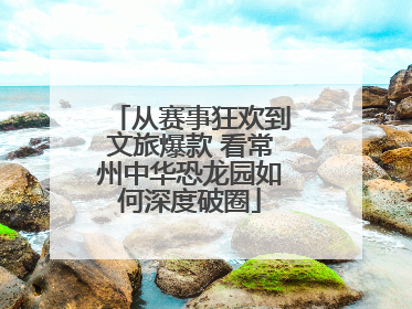 从赛事狂欢到文旅爆款 看常州中华恐龙园如何深度破圈