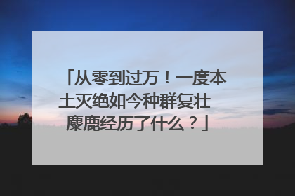 从零到过万！一度本土灭绝如今种群复壮 麋鹿经历了什么？