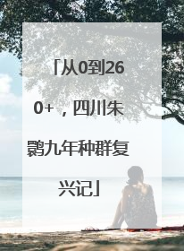 从0到260+，四川朱鹮九年种群复兴记