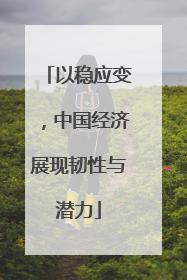 以稳应变，中国经济展现韧性与潜力