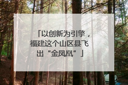 以创新为引擎，福建这个山区县飞出“金凤凰”