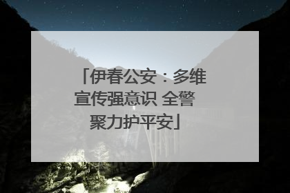 伊春公安：多维宣传强意识 全警聚力护平安