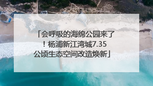 会呼吸的海绵公园来了！杨浦新江湾城7.35公顷生态空间改造焕新