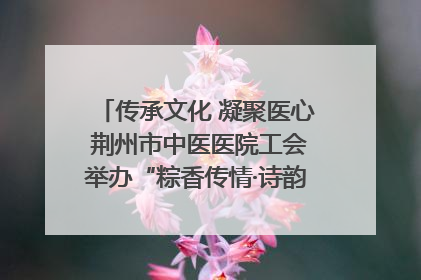 传承文化 凝聚医心 荆州市中医医院工会举办“粽香传情·诗韵端午”系列活动