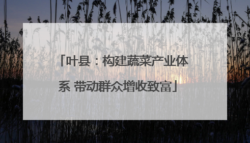 叶县：构建蔬菜产业体系 带动群众增收致富