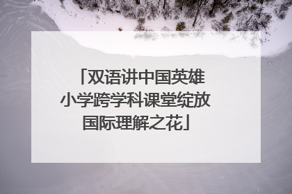 双语讲中国英雄 小学跨学科课堂绽放国际理解之花