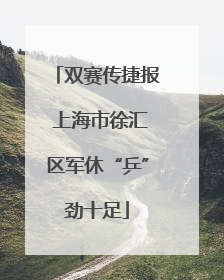 双赛传捷报 上海市徐汇区军休“乒”劲十足