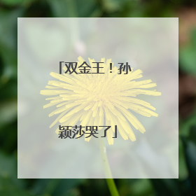 双金王！孙颖莎哭了