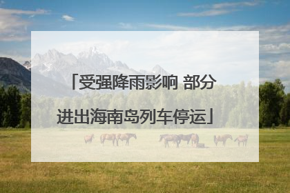 受强降雨影响 部分进出海南岛列车停运