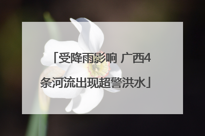 受降雨影响 广西4条河流出现超警洪水