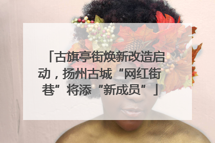 古旗亭街焕新改造启动，扬州古城“网红街巷”将添“新成员”