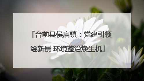 台前县侯庙镇：党建引领绘新景 环境整治焕生机