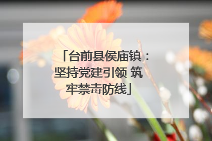 台前县侯庙镇：坚持党建引领 筑牢禁毒防线