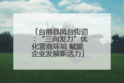 台前县凤台街道：“三向发力”优化营商环境 赋能企业发展新活力
