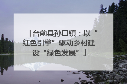 台前县孙口镇：以“红色引擎”驱动乡村建设“绿色发展”