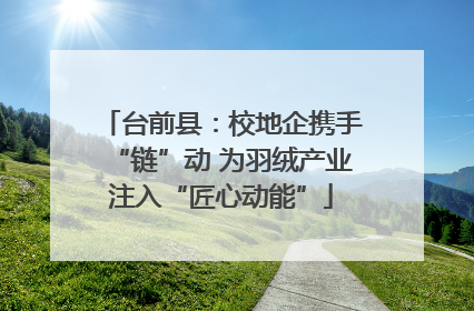 台前县：校地企携手“链”动 为羽绒产业注入“匠心动能”