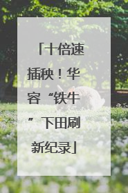 十倍速插秧！华容“铁牛”下田刷新纪录