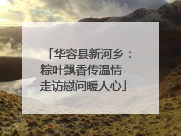 华容县新河乡：粽叶飘香传温情 走访慰问暖人心