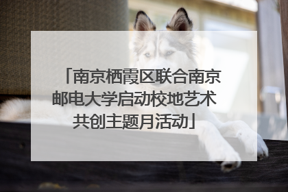 南京栖霞区联合南京邮电大学启动校地艺术共创主题月活动
