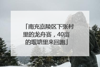 南充嘉陵区下张村里的龙舟赛，40亩的堰塘里来回跑