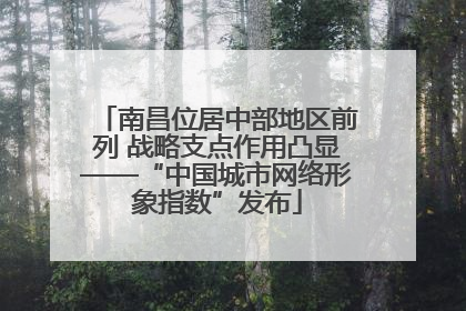 南昌位居中部地区前列 战略支点作用凸显——“中国城市网络形象指数”发布