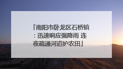 南阳市卧龙区石桥镇：迅速响应强降雨 连夜疏通河道护农田