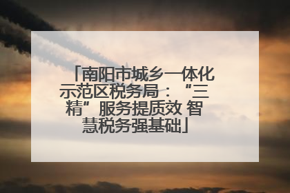 南阳市城乡一体化示范区税务局：“三精”服务提质效 智慧税务强基础
