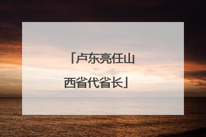 卢东亮任山西省代省长