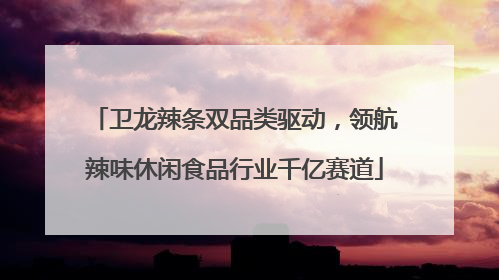 卫龙辣条双品类驱动，领航辣味休闲食品行业千亿赛道
