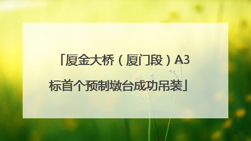 厦金大桥（厦门段）A3标首个预制墩台成功吊装