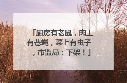 厨房有老鼠，肉上有苍蝇，菜上有虫子，市监局：下架！
