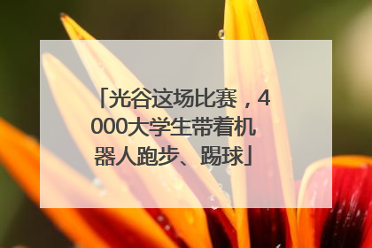 光谷这场比赛，4000大学生带着机器人跑步、踢球