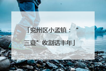 兖州区小孟镇：“三夏”收割话丰年