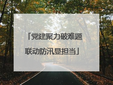 党建聚力破难题 联动防汛显担当