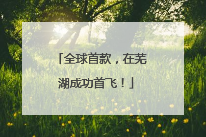 全球首款，在芜湖成功首飞！