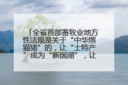 全省首部畜牧业地方性法规是关于“中华熊猫猪”的，让“土特产”成为“新国潮”，让“农产品”升格为“城市IP”