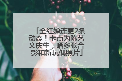 全红婵连更2条动态！卡点为陈艺文庆生，晒多张合影和新玩偶照片