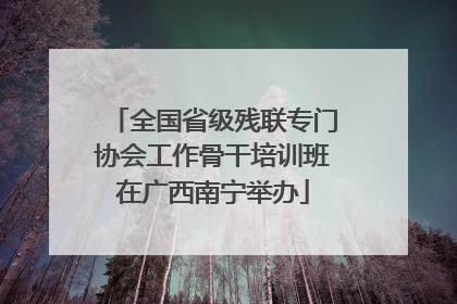 全国省级残联专门协会工作骨干培训班在广西南宁举办