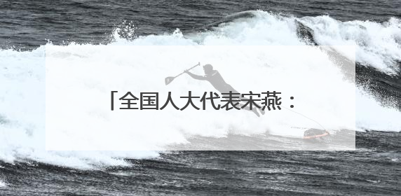 全国人大代表宋燕：构建推进长三角检察一体化学习研究机制