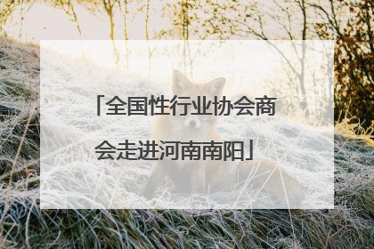 全国性行业协会商会走进河南南阳