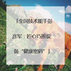 全国技术能手彭彦军：匠心巧辨设备“健康密码”