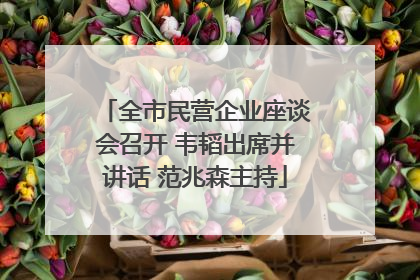 全市民营企业座谈会召开 韦韬出席并讲话 范兆森主持