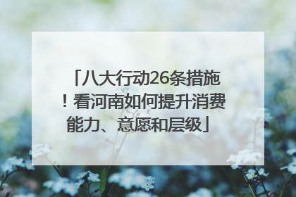 八大行动26条措施！看河南如何提升消费能力、意愿和层级