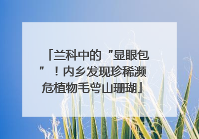 兰科中的“显眼包”！内乡发现珍稀濒危植物毛萼山珊瑚